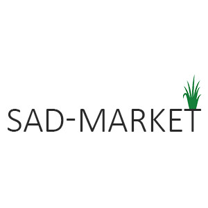 SAD MARKET