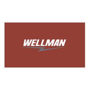                              Wellman                         