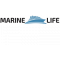 Marine-Life