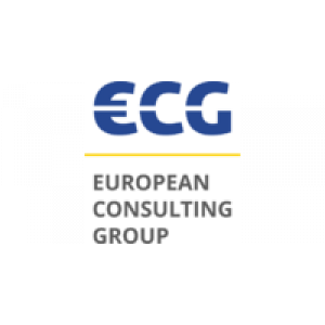 ECG, европейская консалтинговая группа