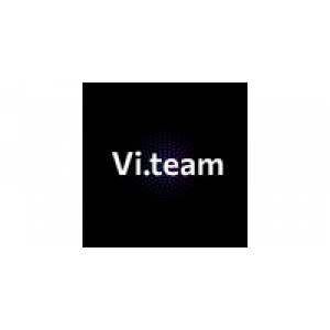                              Vi.team                         