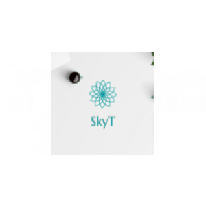                              SkyT                         