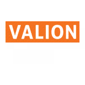 Valion Real Estate Group