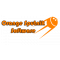                              Orange Sputnik Software                         