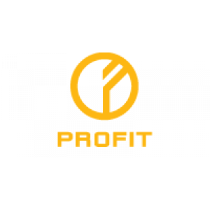                              Profit, HR&Consulting                         